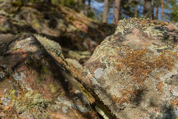 Old stones in scandinavian forest. Photo of swedish nature.