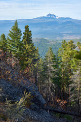 Mountain forest view from Green Ridge in central Oregon with the Three Fingered Jack at background.