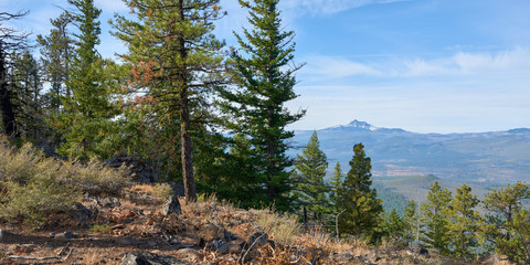 Mountain forest panoramic view from Green Ridge in central Oregon with the Mt Three Fingered Jack  at background.