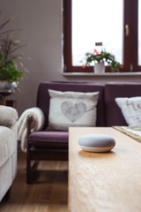 voice controlled smart speaker in living room