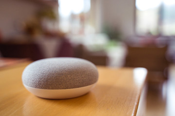voice controlled smart speaker in living room