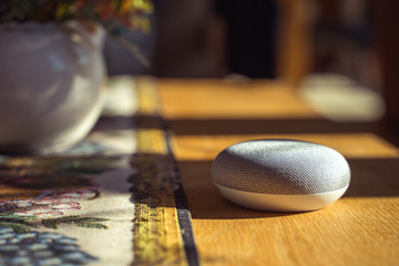 voice controlled smart speaker in living room