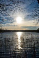 Sun reflection on a small lake in the countryside, next to the forest on a beautiful spring day. © agness_photography