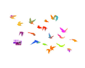 Multi-colored birds. A flock of flying rainbow birds. Mixed media. Vector illustration