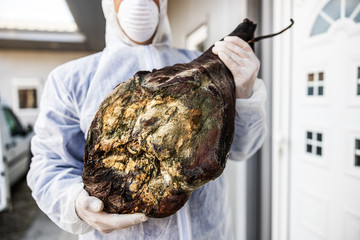 Man with protective suit and mask holding bad meat ham, rotten meat. Infection prevention and...