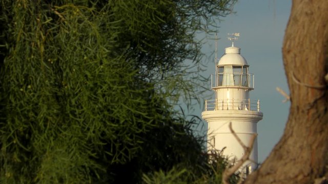 Old lighthouse visible in the lumen of the tree branches