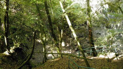 Vegetation and ambience in the area of Butori waterfall and abyss, Sterna - Istria, Croatia...