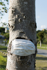 人の顔に見える木にマスクが被されている