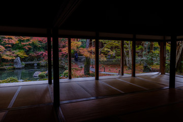 Autumn Leaves in Rengeji Temple in Kyoto, Japan
