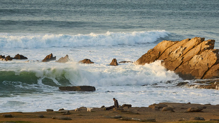 Man with dog in Azkorri beach (Getxo Basque Country) Waves and golden hour Sea