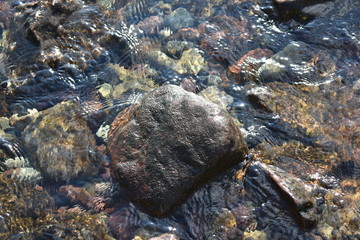 rocks in water5