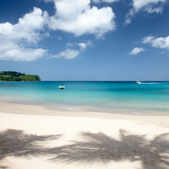 Fototapeta na wymiar tropical beach in St Lucia​