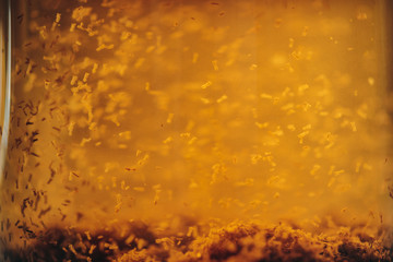 Macro photo of kettle full of tea inside, chamomile tea