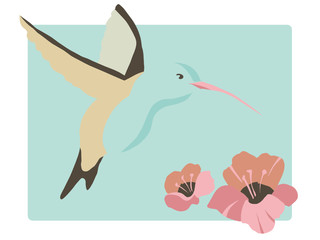 Vector illustration of a hummingbird and hibiscus
