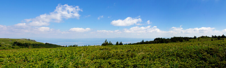 Naklejka premium landscape with grass and sky