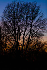 Silhouette of a Scandinavian sunset, Copenhagen, Denmark