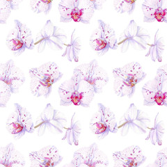 Orchid watercolor illustrations isolated on white background. Seamless pattern with colorful orchid.