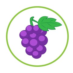 ripe grape cartoon illustration vector. organic fruit
