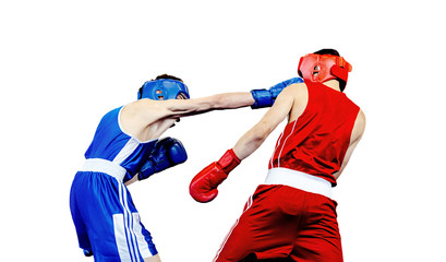 boxer lands right jab to opponent in boxing match. isolated on white background - obrazy, fototapety, plakaty