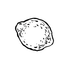A lemon icon. Hand drawn ink outline sketch, doodle icon, stock vector illustration, design for coloring book page