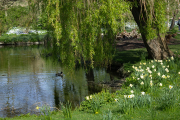Hastings in the South of England in early spring