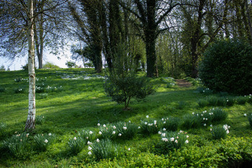 Obraz premium Hastings in the South of England in early spring