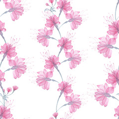 Seamless pattern transparent rose flowers and Apple blossoms on a white background, pink roses, x-ray flowers, pink Sakura flowers, lilac and blue stems and leaves, floral pattern for printing