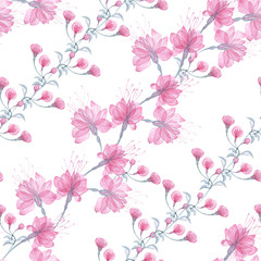Obraz na płótnie Canvas Seamless pattern transparent rose flowers and Apple blossoms on a white background, pink roses, x-ray flowers, pink Sakura flowers, lilac and blue stems and leaves, floral pattern for printing 
