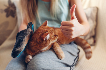 Brushing cat with glove to remove pets hair. Woman taking care of animal combing it with hand rubber glove at home