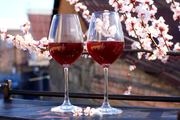 glasses with red wine. flowering branch. lounge terrace.