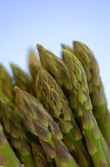 dettaglio di teste di asparagi su fondo celeste