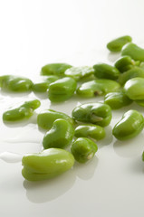 Favette fresche isolate su fondo bianco