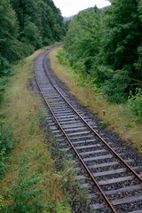 Obraz premium Old railroads in a forest slowly becoming rusty and grown over with grass