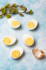 Easter background with hard boiled egg and catkin twigs, copy space