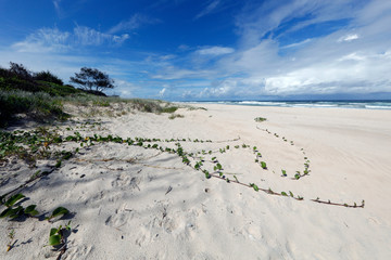 sand dunes on the beach, Australia