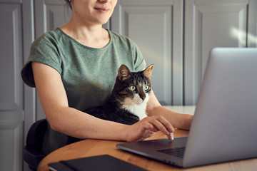 Young woman in green t-shirt sitting with a cat on her lap at the wooden table at home with laptop and notebook, working or shopping online. Shot from the side with only arms and half of face seen