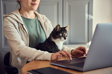 Fototapeta na wymiar Young woman in green t-shirt and biege hoodie sitting with a cat on her lap at the wooden table at home with laptop and notebook, working or shopping online. Shot from the side with only arms and half
