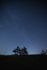 Fototapeta na wymiar Starry sky over lonely tree silhouette
