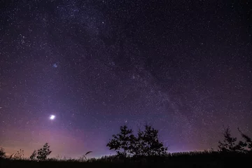 Fototapeten Starry sky over lonely tree silhouette © czamfir