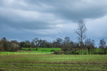 Field saturated with water in Couesmes-Vauce on a overcast day in the Mayenne countryside on a...