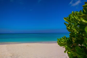 Crédence de cuisine en verre imprimé Plage de Seven Mile, Grand Cayman Empty Seven Mile Beach in the Caribbean during confinement, Grand Cayman, Cayman Islands