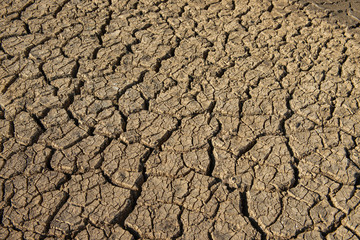 Brown Cracked ground,Cray Soil,Mud Crack.Cracks on the surface of the earth are altered by the shrinkage of mud due to drought conditions of the terrain.
