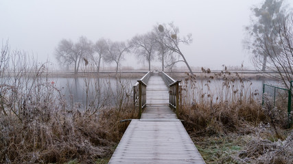 Wyspa na Zalewie Dojlidzkim. Mgła, przymrozek i szron, Dojlidy, Białystok, Podlasie, Polska © podlaski49