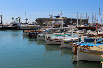 Fototapeta premium Cassis