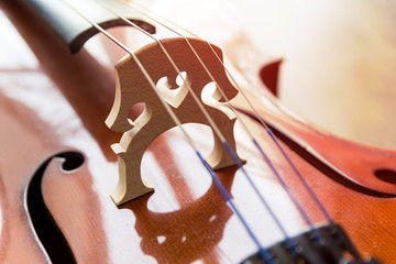 Cello on wooden background with copy space . Rehearsal before the concert. Musical tuition concept.