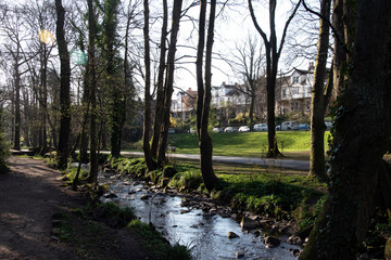 Obraz premium Early morning light reflecting on stream in park, UK