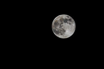 Super moon pink moon against  dark sky