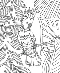Cockatoo parrot sitting on a branch in tropical rainforest. Page of coloring book. Vector illustration. © Daria