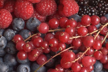 frutas , verduras, hortalizas