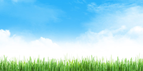 Abstract summer grass field and sky wide backdrop